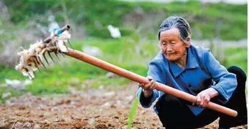  这些事@有人说农村50、60后老人，最愁的不是养老，而是这些事，