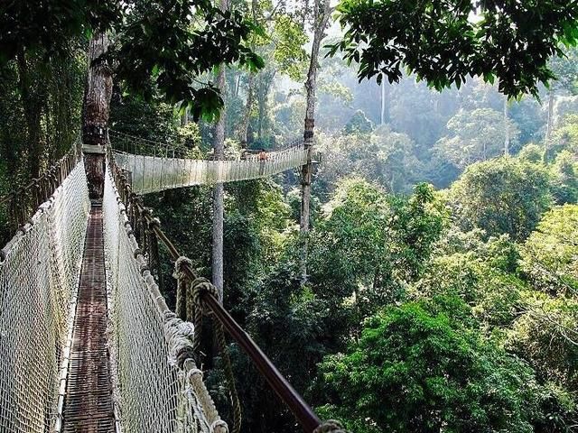 是什么魅力让这么多人自驾去西双版纳过春节，看了你就知道！