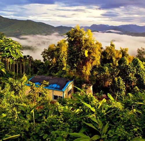 镜头下:一对夫妻北京房子不住却隐居山林,喂马