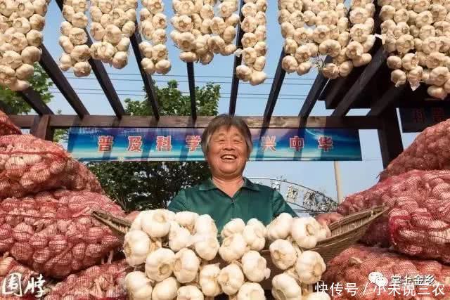 2018金乡大蒜节时间定了!