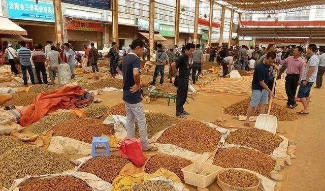  「白菜」一亩亏一万元？！文山三七价格突然全面跳水“金不换”