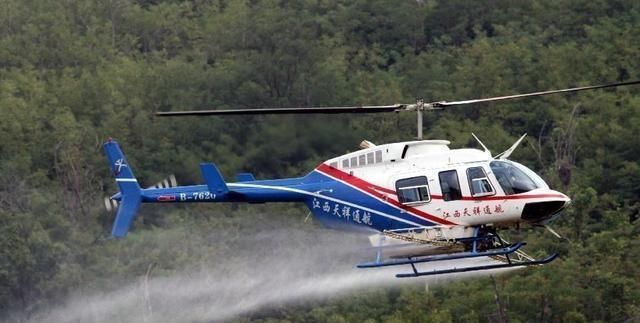  【当地】“蝗虫过境，寸草不留”，那你知道蝗虫最怕什么？怎么