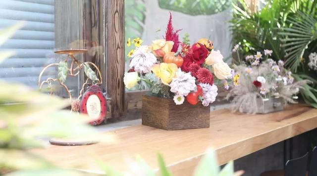 藏在北京小院里的悠闲小时光,生活原来可以这么惬意