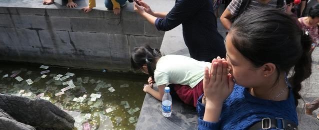 游客往许愿池扔的硬币，工作人员说出最终去向，你信吗？