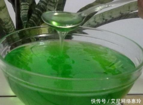  养君子兰：君子兰花不旺，浇点这“汁液”，比施肥更管用，一盆能开四五朵！