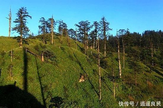 不是不允许在农村建房子，但必须满足下面这几个条件