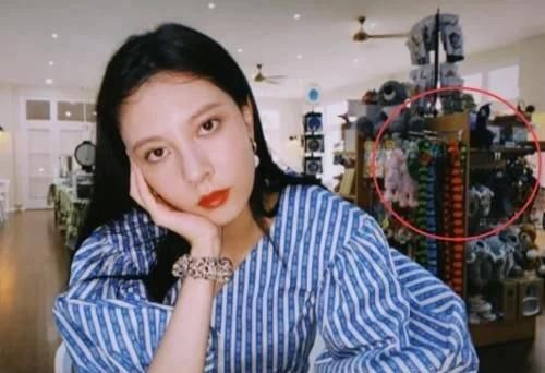 『不算』baby一柜子高跟鞋不算啥,看到宋妍霏柜子里东西:贫穷限制想象