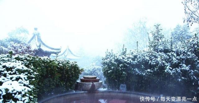 作为一个山东人，下雪不只有刷朋友圈，还要……