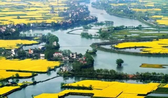 最江南的花海：惊艳不输婺源，情调不输威尼斯