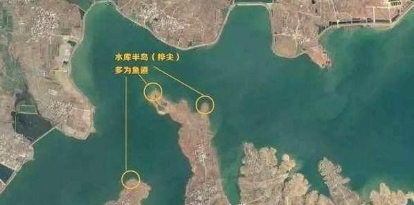新钓鱼人■钓鱼新人看过来,跟我学钓鱼!带给你全新钓鱼知识