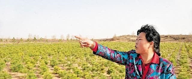 中国的治沙女“狂人”，治理沙漠33年，如今带领大家“吃”沙！