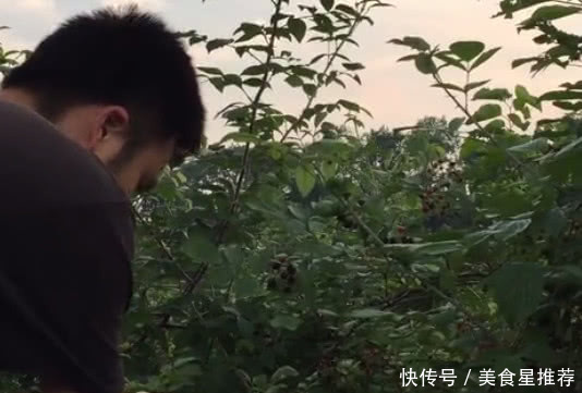农村童年山上的这种野果子零食，看了真让人怀，你们有吃过没