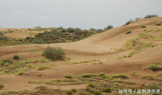 #旅游#国内一沙漠即将被消灭,却来了一群“捣蛋鬼”,太不欢迎了!