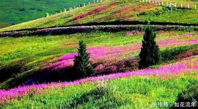 新疆有个地方,比香港还晚回归!景色却美到无法无天!