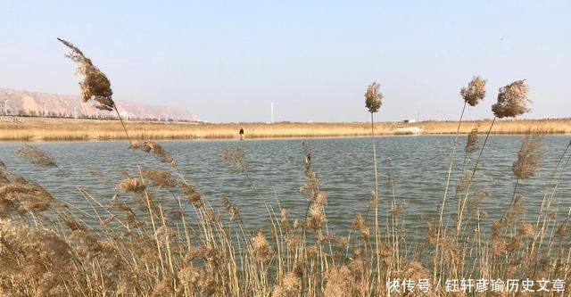  『摄影师』古稀老人爱垂钓，芦苇塘边一坐一天，说能不能钓到鱼并不重要