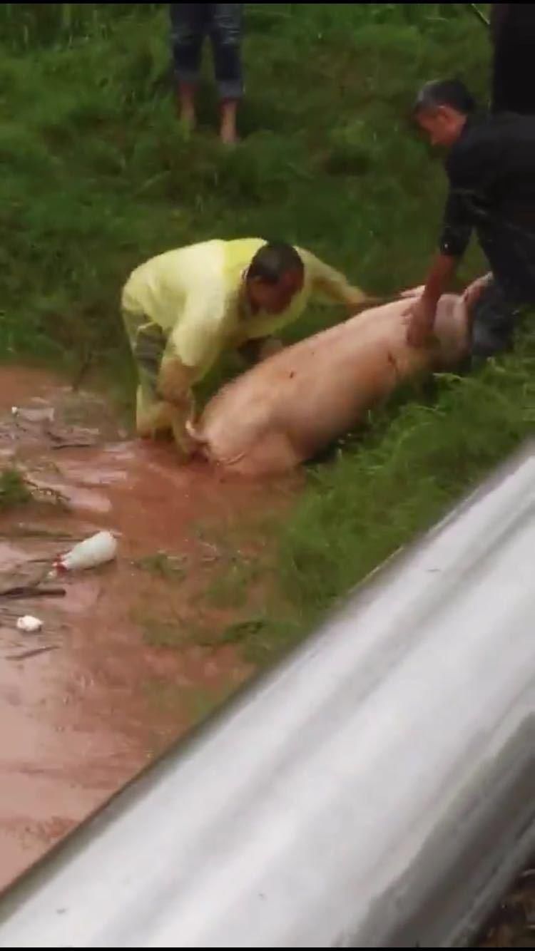 有灾难时官民应该齐心协力，却在这时有人散播谣言，该罚