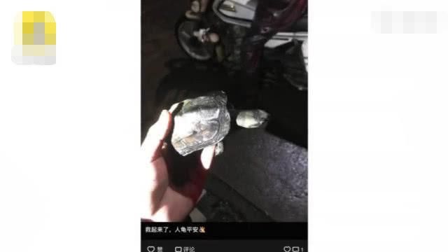 误会!“没有感情的广东人”当事人回应:乌龟没吃,养着呢!