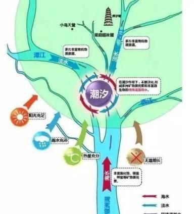 【产区】一方水土养一方皮,说说新会陈皮的“核心产区”!