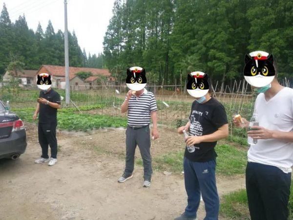 连端|连端三个犯罪窝点,京山“平安荆楚行动”成绩亮眼