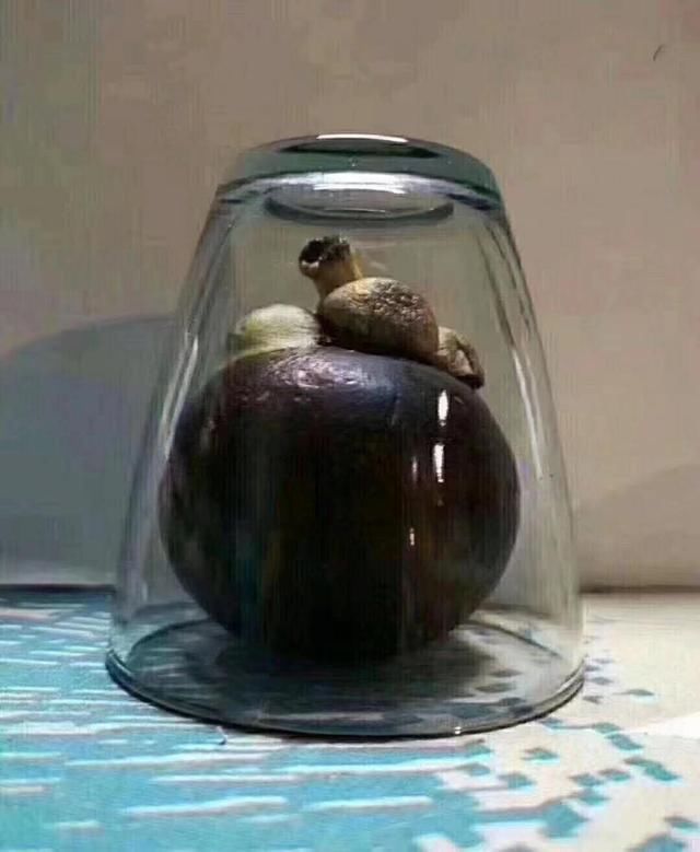 当全国都在担心广东安全，广东人民却在忙着拍照片写段子发朋友圈