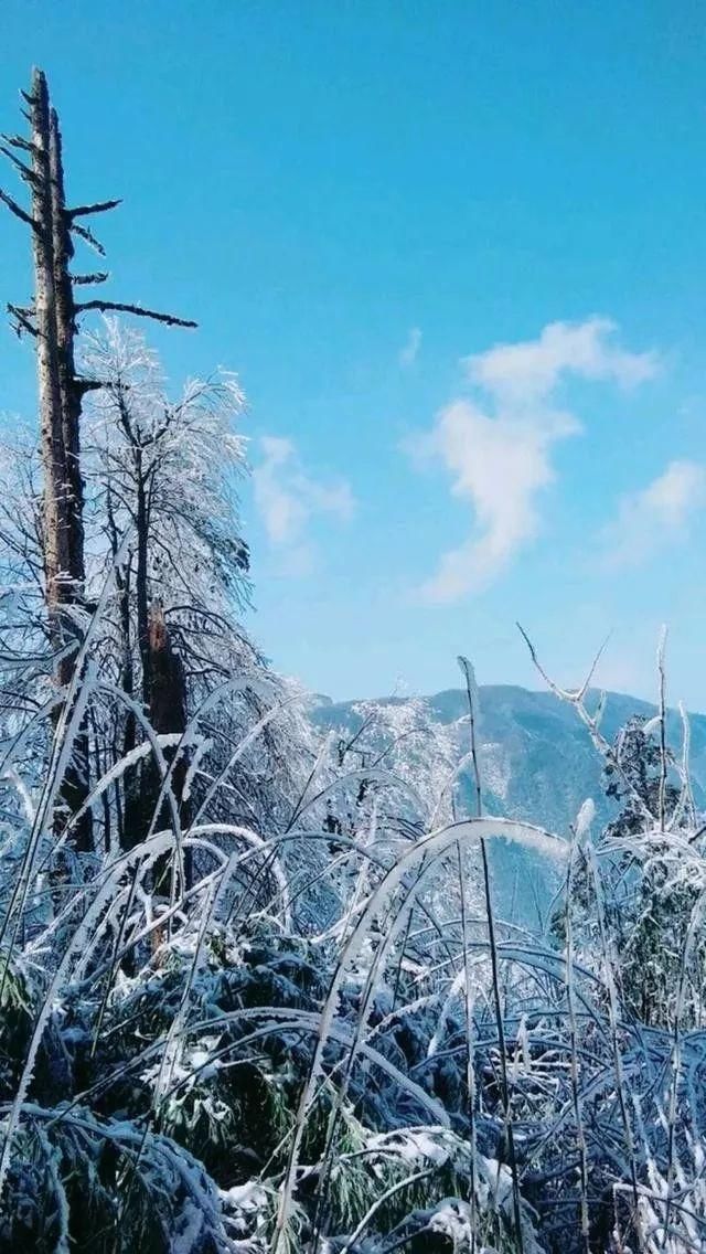 中国峨眉山壮观奇景震撼全世界