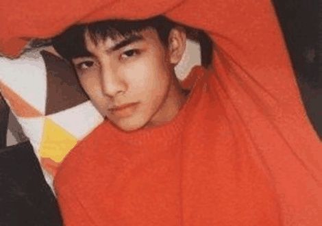 陈坤坦率辟谣儿子进军演艺圈事件, 细数真汉子陈坤多年直面辟谣