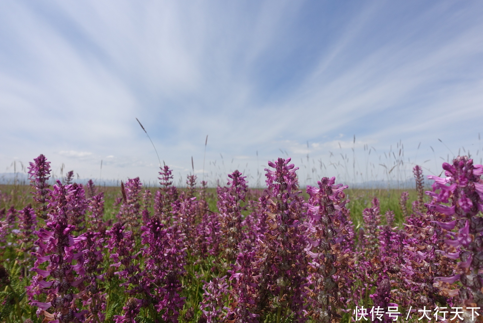  新疆@这个省份的面积相当于10个河南、16个江苏，不愧是“大新疆