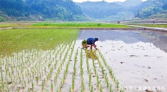  农村|农民户口迁入城市，农村的房子与土地怎么处理？还会属于自