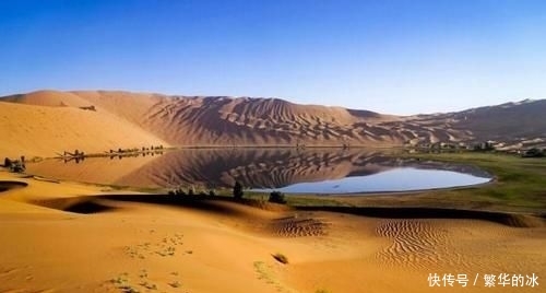  [中国]中国沙漠种树，以色列沙漠建鱼塘，年产1700吨，吃不完还