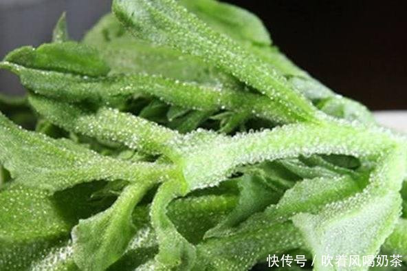  表长：此种植物叶表长“珍珠”，可做菜、入药，盆栽给点肥就够了