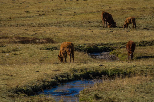 你根本想不到，在昆明周边，居然藏着一个像西藏的美丽地方