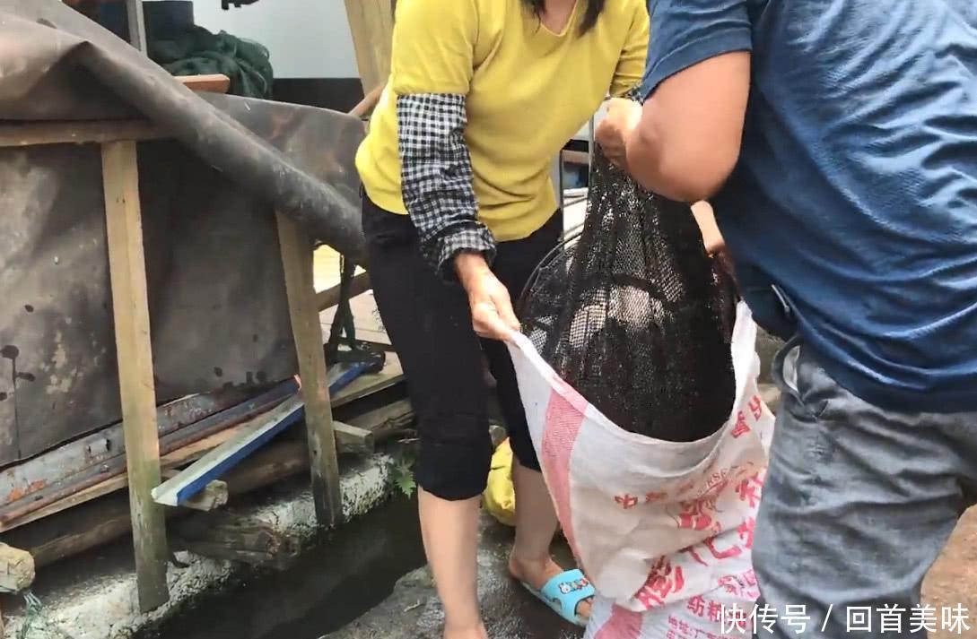 农村大叔卖这种野货，两天就挣了2000多块钱，这宝贝你吃过没