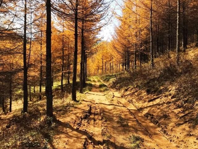 美如川西！重庆私藏世界级景点，金秋美成仙境