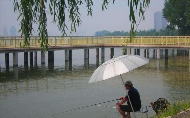 『据对象鱼』夏天下风口真的好钓鱼，只是要找对位置，还要用对方法