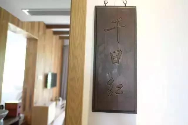 工作20年就退休，带4个闺蜜归隐山林，过上神仙般的生活