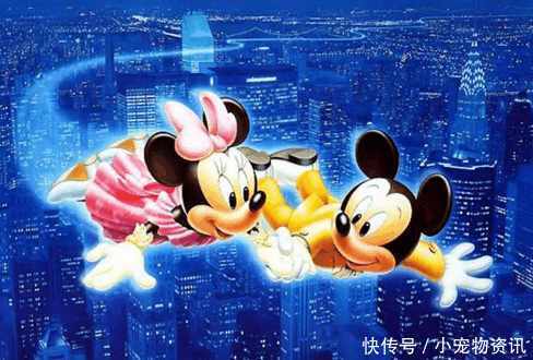 这对男女配对组合, 简直是抢钱夫妻, 配合默契,