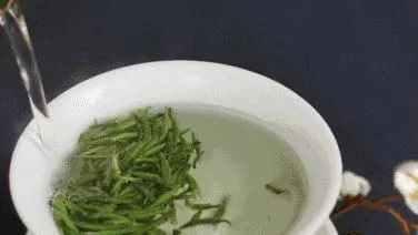 来雁荡山,用大自然的力量滋养我们的身心