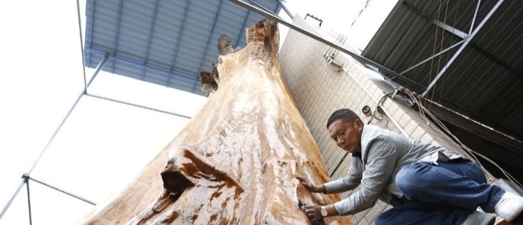 金丝楠木到底有多值钱？5幅图毫不隐瞒地告诉你答案