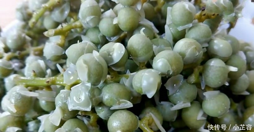 农村遍地都是，都不知道这个是可以吃，以前都拿来“打人”玩