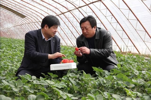 农村村长将取消了？农民误会了，不过这三类人将成为“新领头羊”