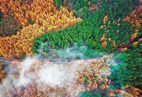 就在重庆!这条自驾公路真的太惊艳了,光看图片就能令人沉醉!