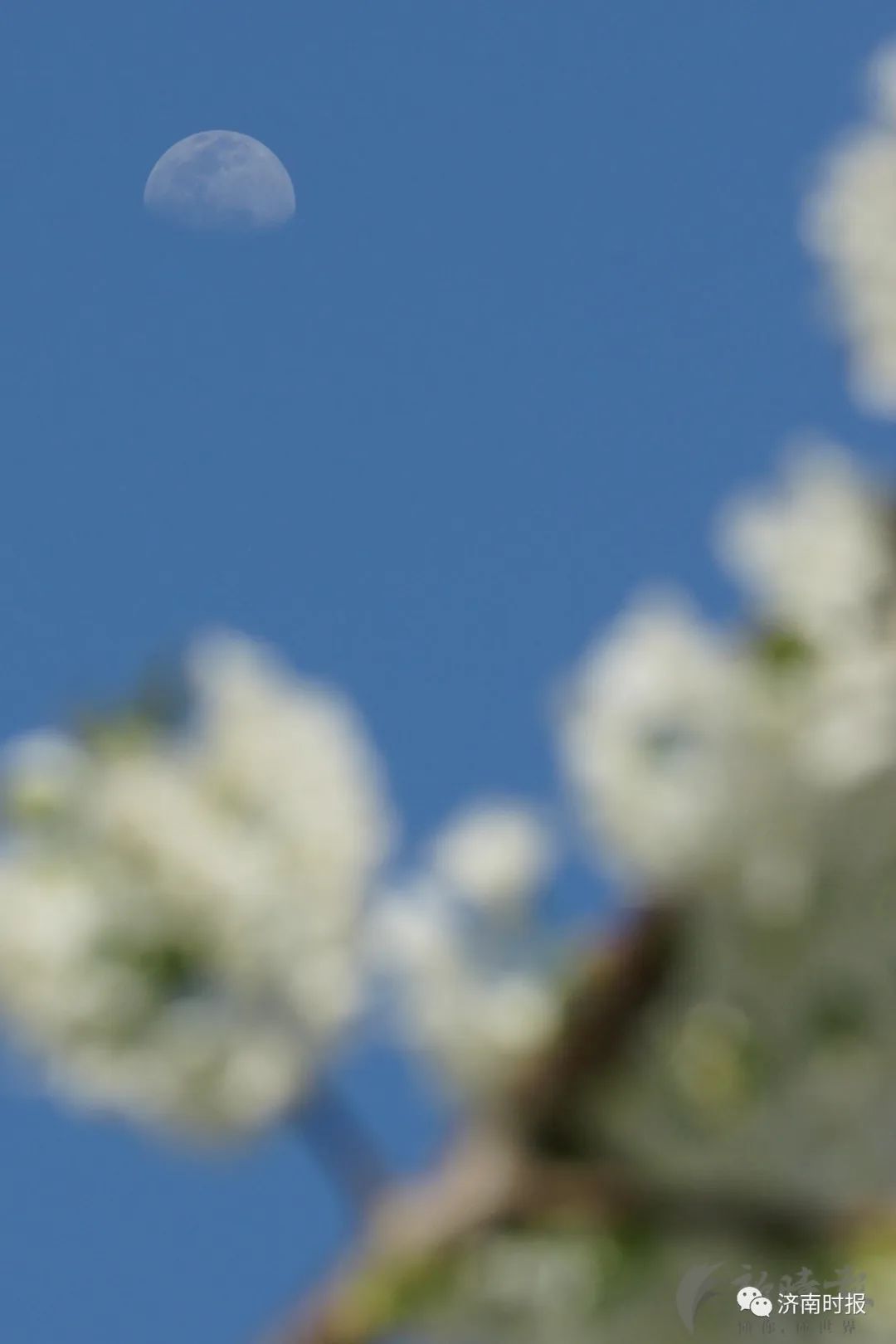  这件■冷空气来袭，济南最低温跌至1℃，还有霜冻，这件事千万要注意……