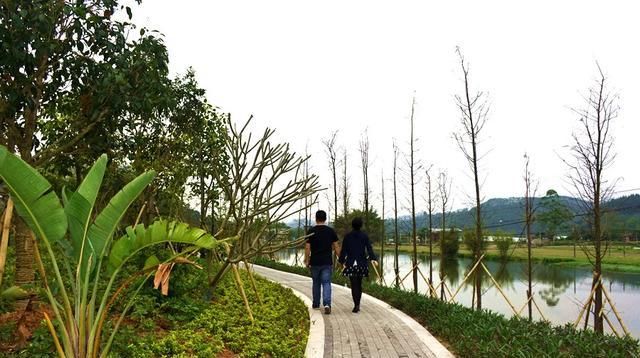  [可腐烂垃圾]新兴：生态靓丽添秀色 环境美化留乡愁