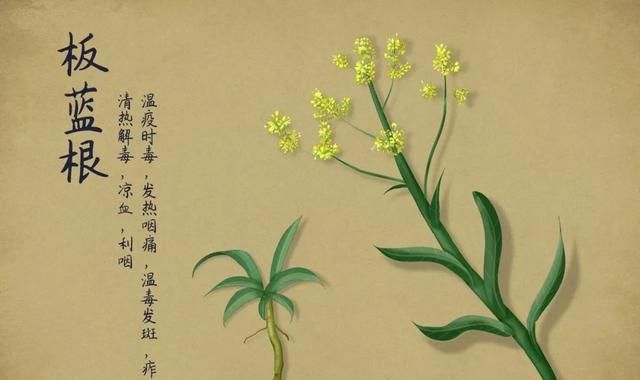 抗病毒口服■这些谣言你要知道，预防新冠病毒肺炎