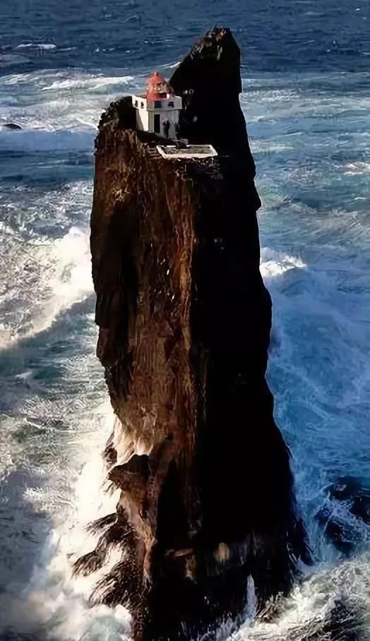 50张令人尖叫的照片，绝对够震撼