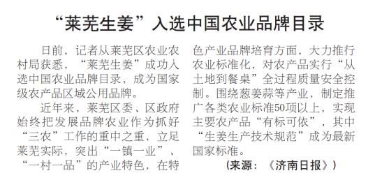  『上榜』莱芜生姜入选中国农业品牌目录，山东上榜总数全国第一