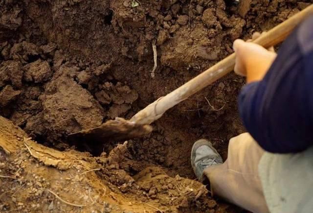  #去年#去年卖到6元，今年商贩2元1斤都不给，农民感慨还没小工赚得多