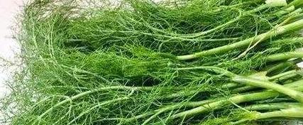 农村一种植物，很多人不喜欢因为味道刺鼻，却不知它全身是宝