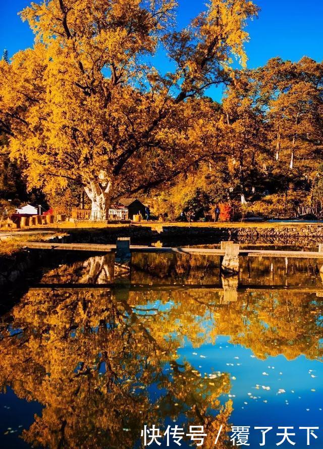 安徽旅游：大山深处一抹红，马丁公路、马鬃岭秋色美翻了