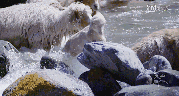 一遇新疆误终身,从此天堂是路人